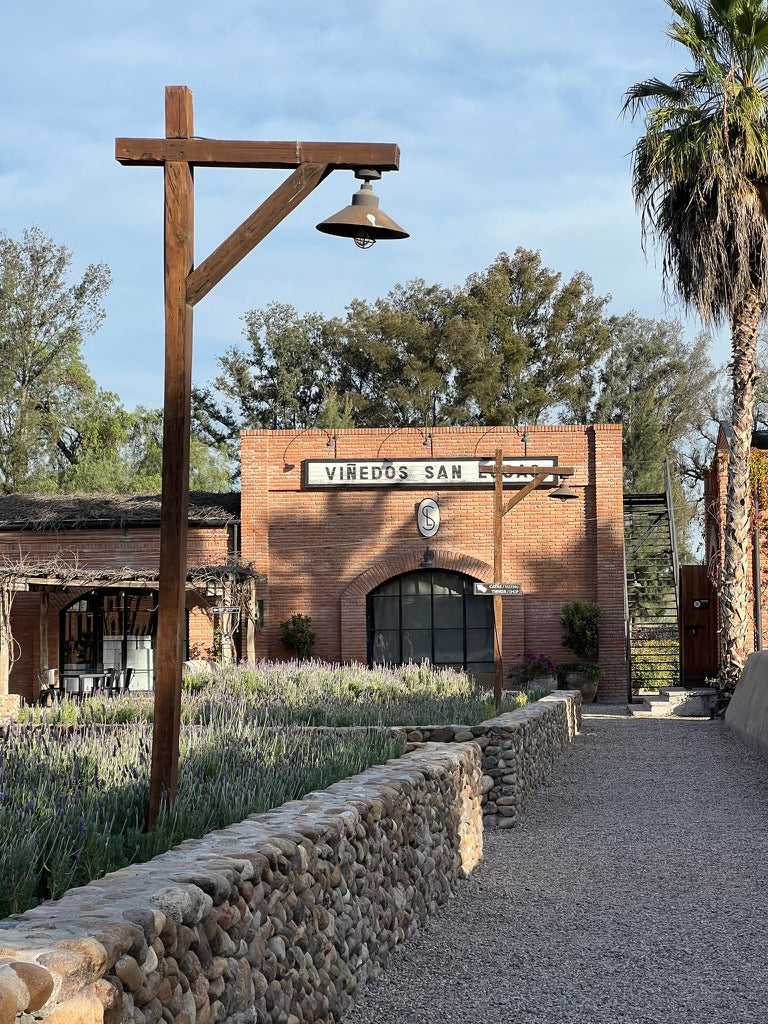 Viñedo San Lucas: Un oasis de paz entre vides y olivos