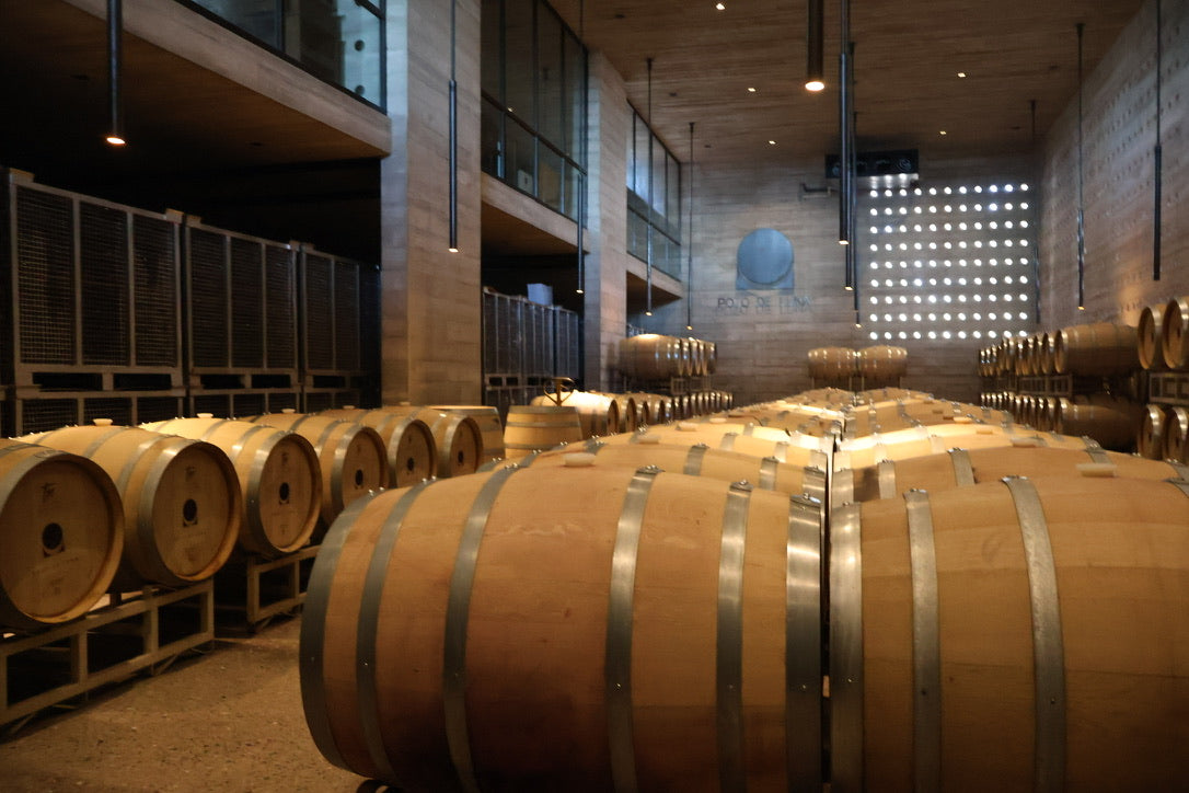 Viñedos Pozo de Luna: Imperdible para descrubrir los vinos Potosinos