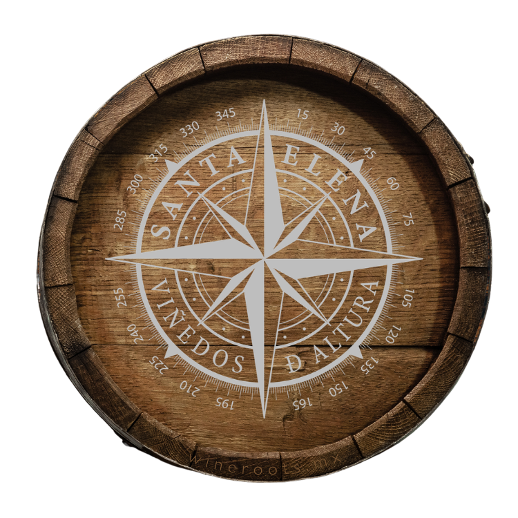 Vinícola Santa Elena