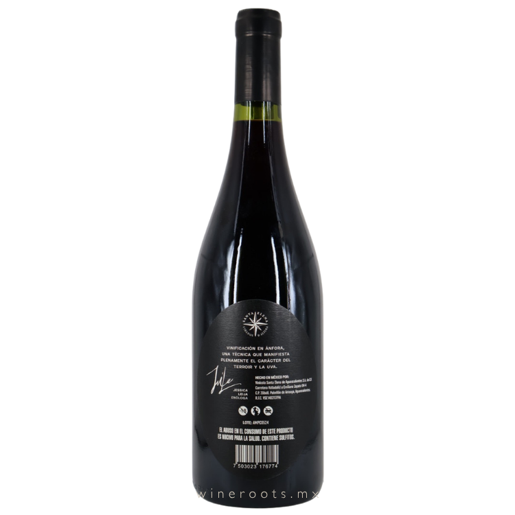 Vino Tinto Amphora Cabernet Franc | Crianza en Vasija de Barro | Vinícola Santa Elena, Aguascalientes