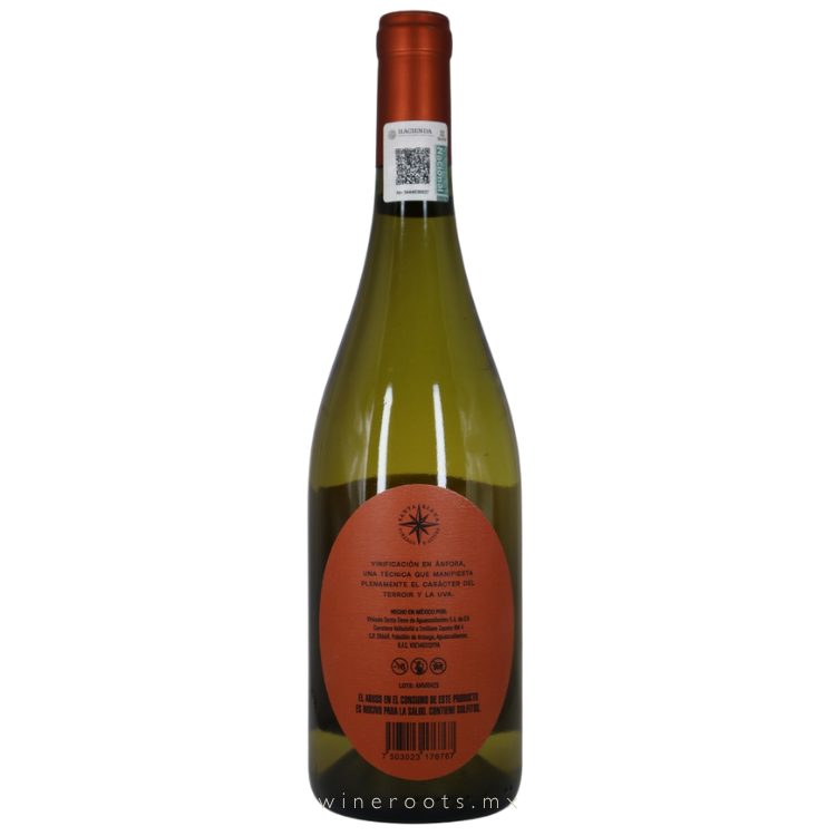 Vino Blanco Amphora Viognier | Crianza en Barro | Vinícola Santa Elena, Aguascalientes