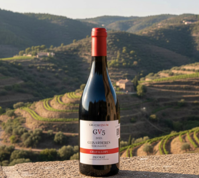 Gratavinum GV5, Vino Tinto | Parés Baltà - Priorat, España
