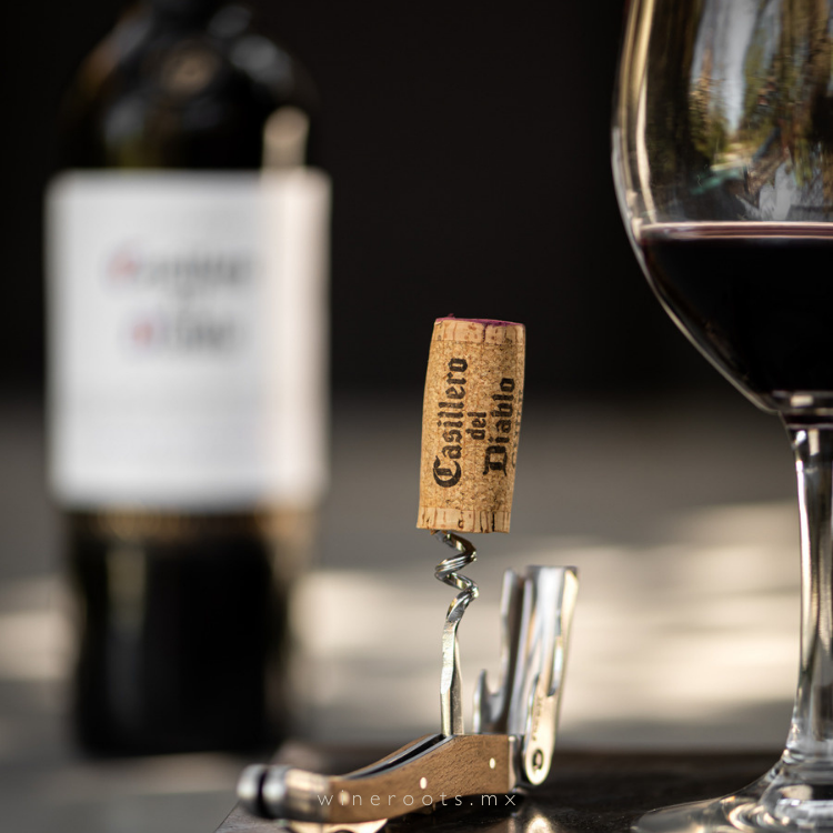 Casillero del Diablo Cabernet Sauvignon | 750ml Vino Chileno