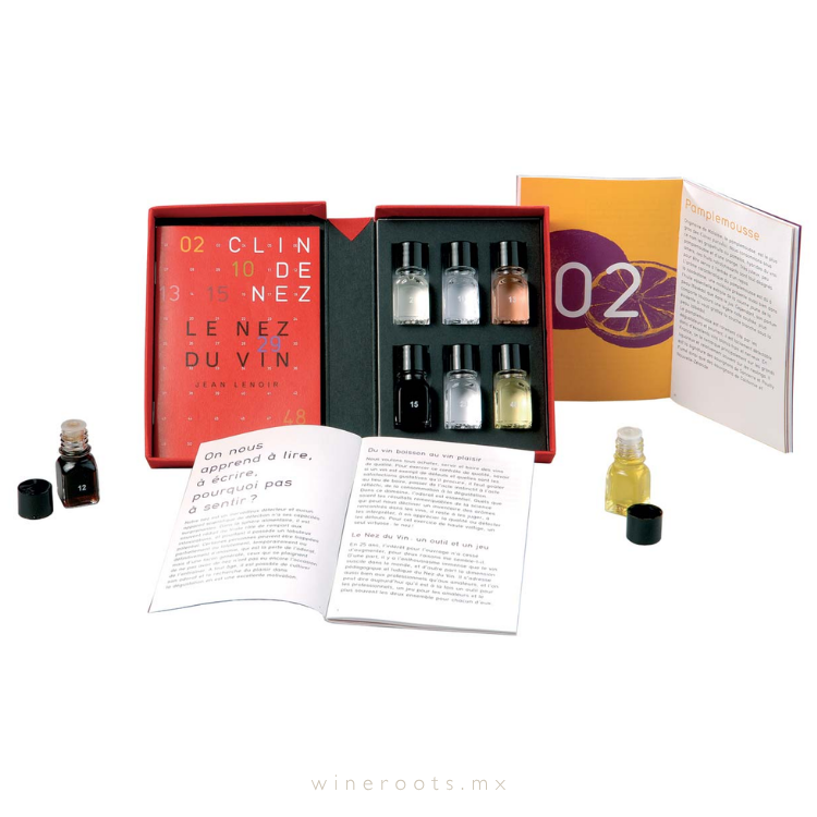 Le Nez du Vin: Estuche de Iniciación de 6 Aromas por Jean Lenoir (Edición en Español)