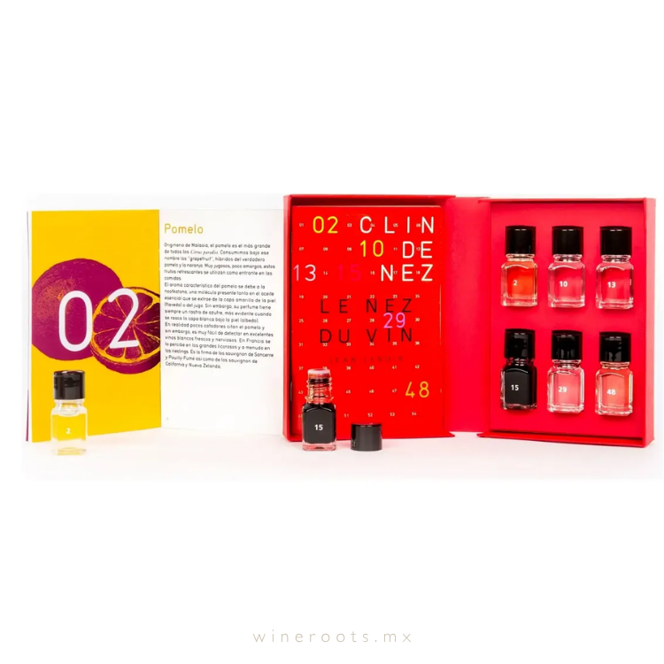 Le Nez du Vin: Estuche de Iniciación de 6 Aromas por Jean Lenoir (Edición en Español)