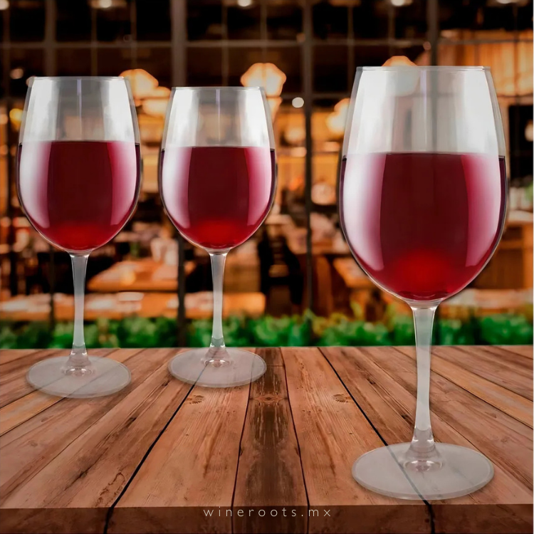 Juego De 12 Copas Finas 610 Ml Hechas En Francia | Luminarc