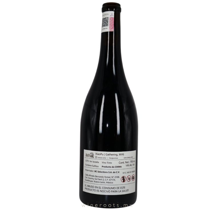 Vino Tinto Xiaopu JU 聚 MV6 | Syrah, Pinot Noir, Chardonnay - Yunnan