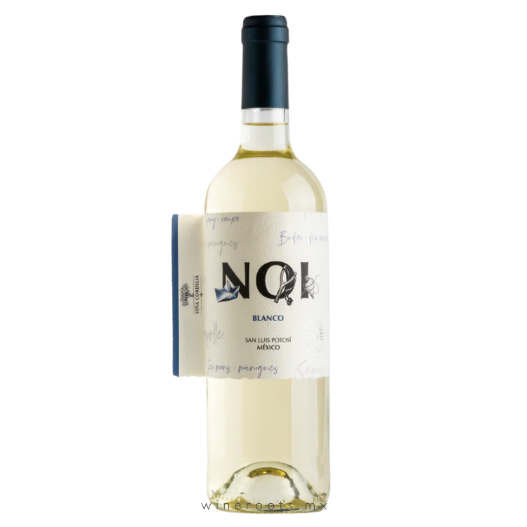 Vino Blanco NOI 2024 | Blanc de Noir de Malbec | San Luis Potosí, México