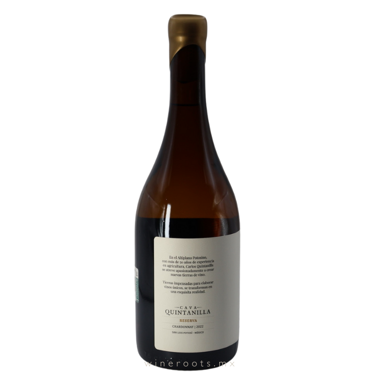 Cava Quintanilla, Chardonnay | Vino Blanco, San Luis Potosí