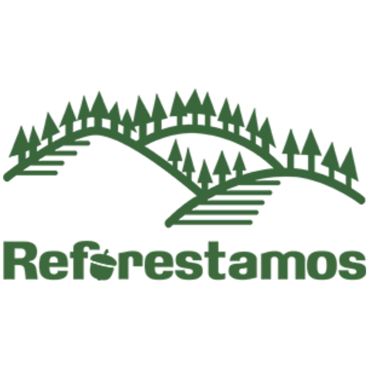 Pin Metálico Conmemorativo Wineroots - Edición Especial Reforestamos México 5 cm